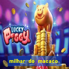 milhar do macaco que mais saem no jogo do bicho