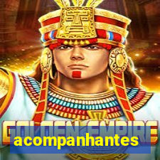 acompanhantes masculinos salvador bahia