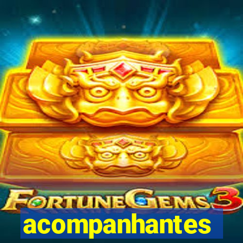 acompanhantes masculino pvh