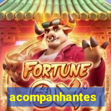 acompanhantes masculino pvh