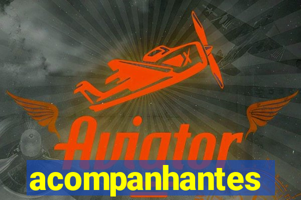 acompanhantes masculino pvh