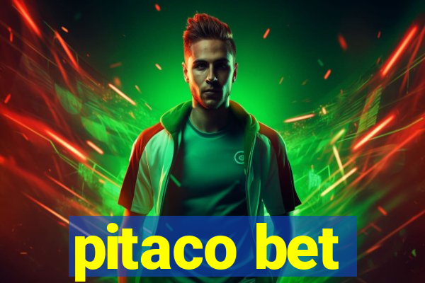 pitaco bet