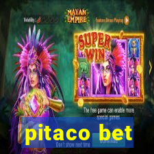 pitaco bet