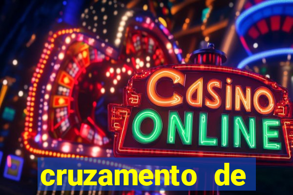 cruzamento de cavalo com mula