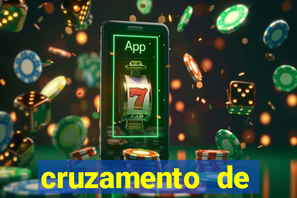 cruzamento de cavalo com mula