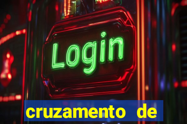 cruzamento de cavalo com mula