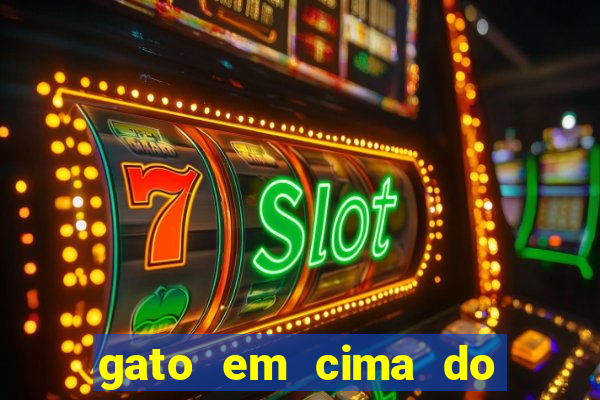 gato em cima do telhado significado espiritual