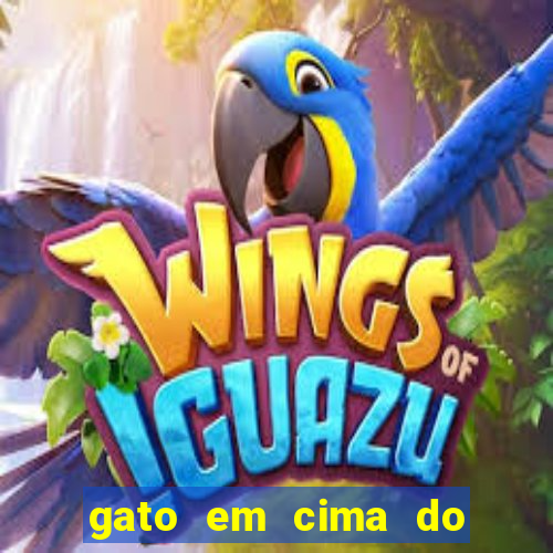 gato em cima do telhado significado espiritual