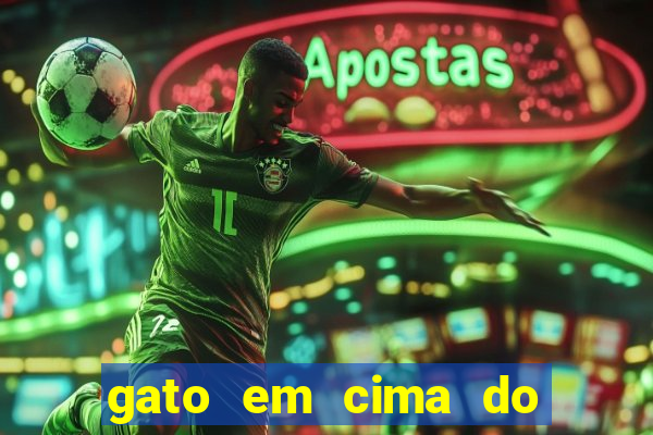 gato em cima do telhado significado espiritual