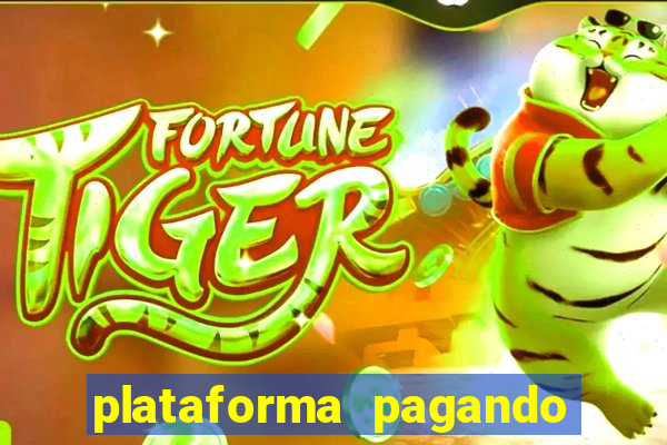 plataforma pagando no cadastro tigre