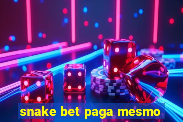 snake bet paga mesmo