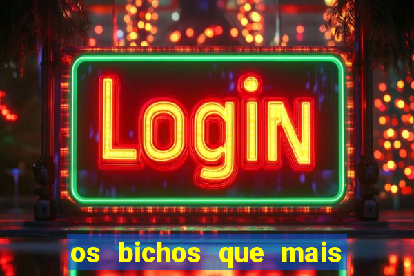 os bichos que mais saem na loteria federal