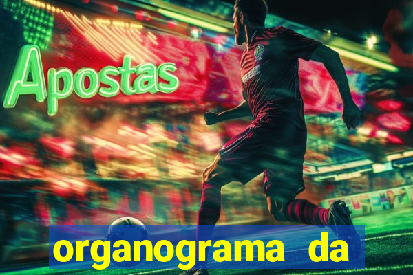 organograma da cacau show