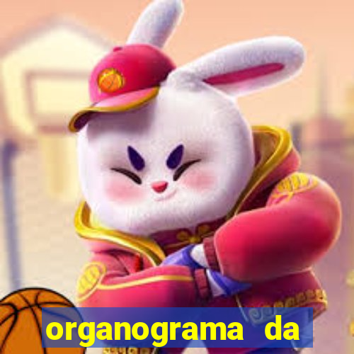 organograma da cacau show