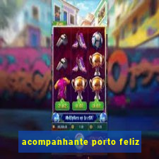 acompanhante porto feliz