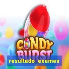 resultado exames unimed poa