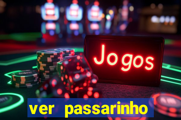 ver passarinho morto significado