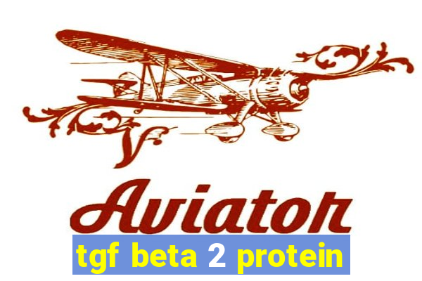 tgf beta 2 protein