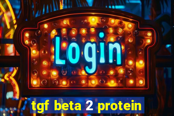 tgf beta 2 protein