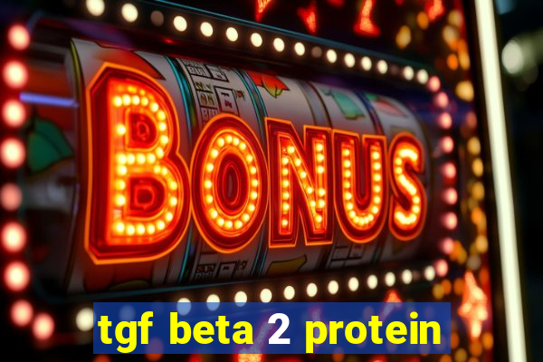 tgf beta 2 protein