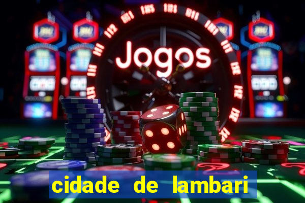cidade de lambari sao paulo