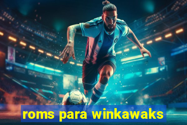 roms para winkawaks