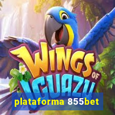 plataforma 855bet