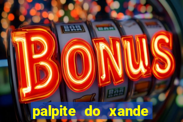 palpite do xande de hoje