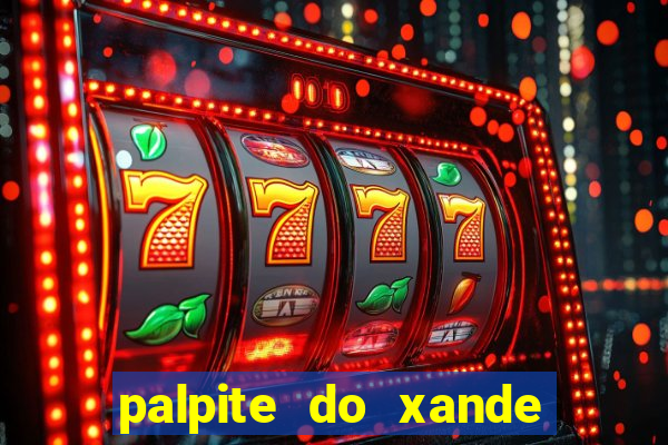 palpite do xande de hoje