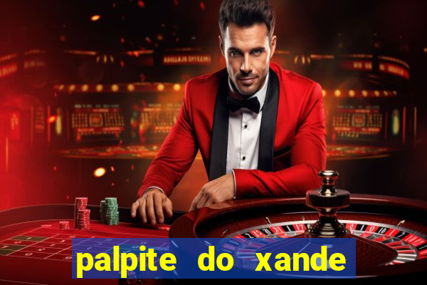 palpite do xande de hoje