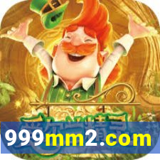 999mm2.com