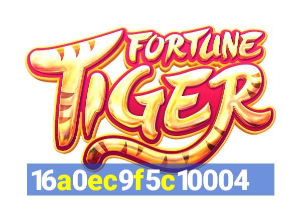 www fogo777.com