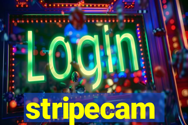 stripecam