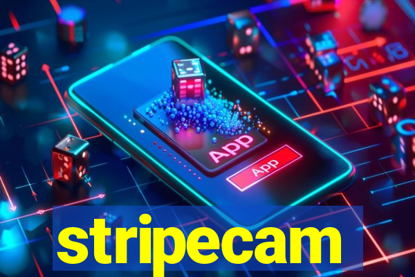 stripecam