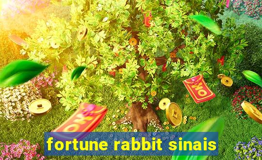 fortune rabbit sinais