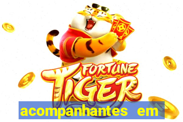 acompanhantes em porto velho
