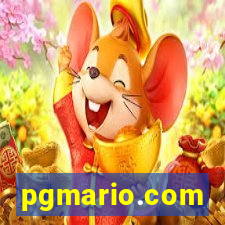 pgmario.com