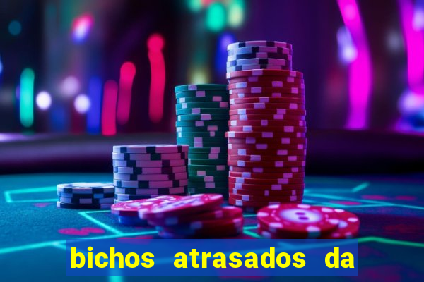bichos atrasados da loteria federal
