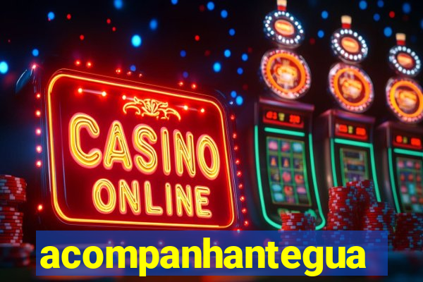 acompanhanteguanambi