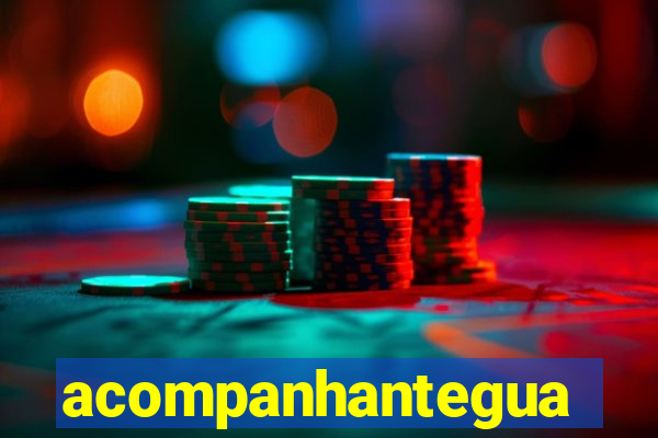 acompanhanteguanambi