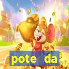 pote da prosperidade riqueza e fortuna 2024