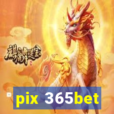 pix 365bet
