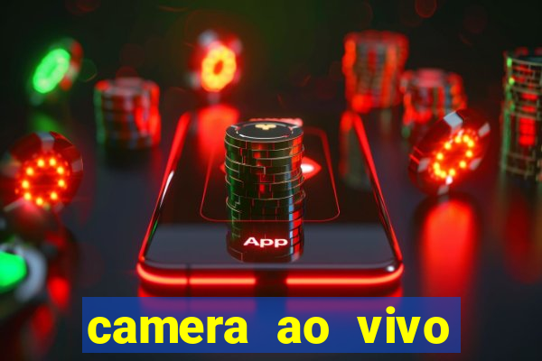 camera ao vivo terminal vila nova cachoeirinha