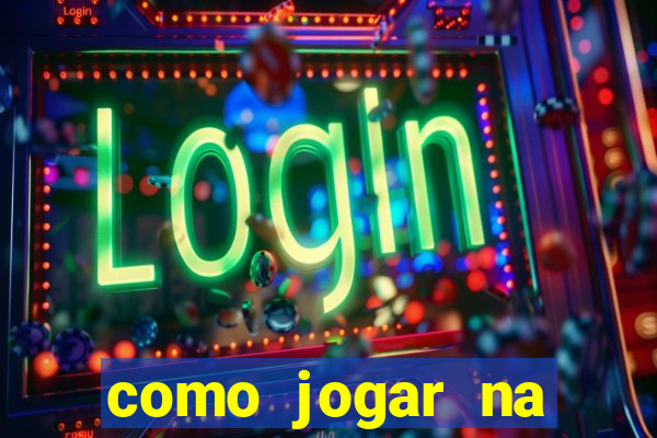 como jogar na lotinha do jogo do bicho