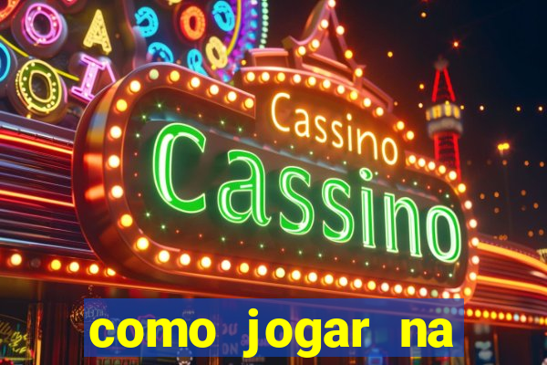 como jogar na lotinha do jogo do bicho