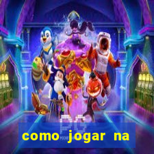 como jogar na lotinha do jogo do bicho