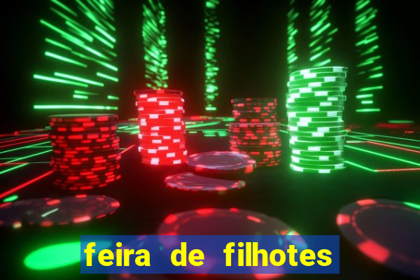 feira de filhotes porto alegre