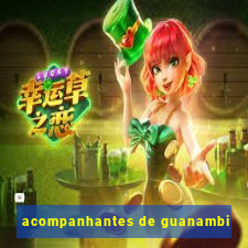 acompanhantes de guanambi