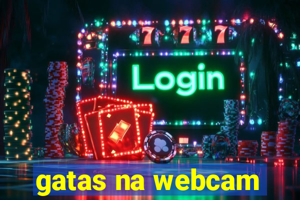gatas na webcam