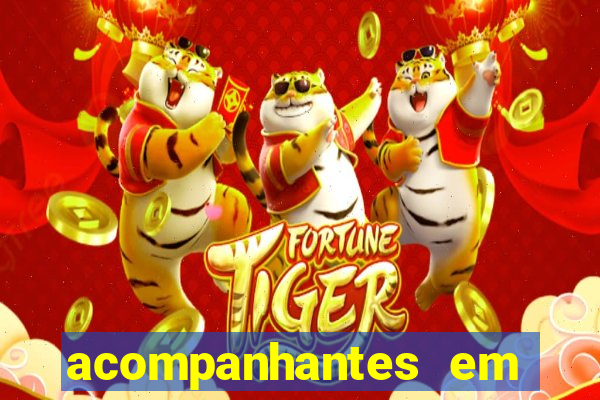 acompanhantes em porto alegre zona norte